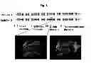 Fig. 02 - Protein skeletal module which increases the binding affinity and binding specificity of active polypeptides