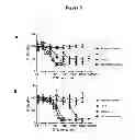 Fig. 06 - CELLULOSE-BASED NANOPARTICLES FOR DRUG DELIVERY