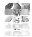 Fig. 09 - CELLULOSE-BASED NANOPARTICLES FOR DRUG DELIVERY