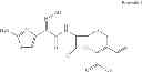 Fig. 02 - CEFDINIR AND CEFIXIME FORMULATIONS AND USES THEREOF