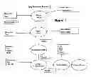 Fig. 02 - Compositions and methods for treating respiratory disorders with doxofilline