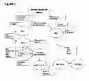 Fig. 06 - Compositions and methods for treating respiratory disorders with doxofilline