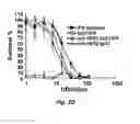 Fig. 07 - Targeted interferons demonstrating potent apoptotic and anti-tumor activities