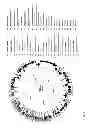 Fig. 02 - Antibacterial phage, phage peptides and methods of use thereof