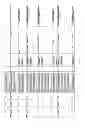 Fig. 65 - Antibacterial phage, phage peptides and methods of use thereof