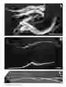 Fig. 01 - Spider silk proteins and methods for producing spider silk proteins