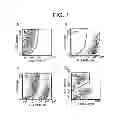 Fig. 02 - Method for activating natural killer cells by tumor cell preparation in vitro