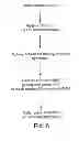 Fig. 09 - PON polypeptides, polynucleotides encoding same and compositions and methods utilizing same