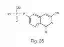Fig. 28 - PON polypeptides, polynucleotides encoding same and compositions and methods utilizing same