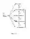 Fig. 22 - Multifunctional cellulase and hemicellulase