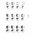 Fig. 08 - Methods For Treating Baldness And Promoting Hair Growth