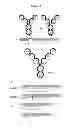 Fig. 02 - BISPECIFIC IMMUNOBINDERS DIRECTED AGAINST TNF AND IL-17
