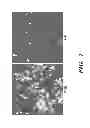 Fig. 02 - Inhibitors of extracellular HSP90