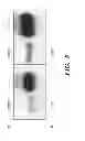 Fig. 06 - Inhibitors of extracellular HSP90