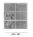 Fig. 08 - Inhibitors of extracellular HSP90
