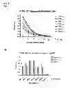 Fig. 02 - Antibody recognizing arbitrarily designed epitope of three or more amino acid residues in a peptide and method of generating thereof