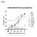 Fig. 06 - Antibody recognizing arbitrarily designed epitope of three or more amino acid residues in a peptide and method of generating thereof
