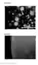 Fig. 03 - Injectable, pore-forming hydrogels for materials-based cell therapies