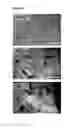 Fig. 05 - Injectable, pore-forming hydrogels for materials-based cell therapies