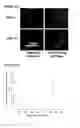 Fig. 09 - Injectable, pore-forming hydrogels for materials-based cell therapies