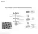 Fig. 25 - Injectable, pore-forming hydrogels for materials-based cell therapies