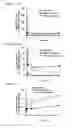 Fig. 02 - Vector for pulmonary delivery, inducing agent, and uses