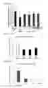 Fig. 06 - Vector for pulmonary delivery, inducing agent, and uses