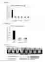 Fig. 08 - Vector for pulmonary delivery, inducing agent, and uses