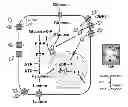 Fig. 01 - Compositions and methods for the treatment of cancer