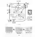 Fig. 02 - Compositions and methods for the treatment of cancer