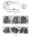 Fig. 03 - Compositions and methods for the treatment of cancer