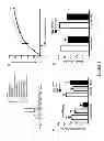 Fig. 02 - AGENTS TO TREAT/PREVENT AMOEBIASIS