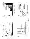 Fig. 06 - AGENTS TO TREAT/PREVENT AMOEBIASIS