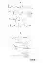 Fig. 03 - Pharmaceutical Formulations Including An Amine Compound