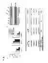 Fig. 03 - METHODS FOR TREATING HEPATOCELLULAR CARCINOMA