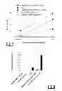Fig. 05 - Mucoadhesive particulate formulation for inducing antigen-specific immune tolerance