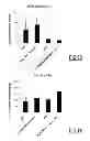 Fig. 11 - Mucoadhesive particulate formulation for inducing antigen-specific immune tolerance