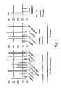 Fig. 03 - Skin formulation, preparation and uses thereof