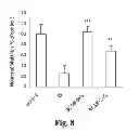Fig. 09 - METHODS TO TREAT NERVOUS SYSTEM CONDITIONS