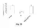 Fig. 12 - METHODS TO TREAT NERVOUS SYSTEM CONDITIONS