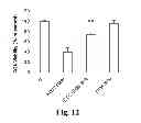 Fig. 13 - METHODS TO TREAT NERVOUS SYSTEM CONDITIONS