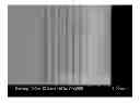 Fig. 01 - ANTIMICROBIAL ACTION OF COPPER IN GLASS