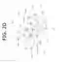Fig. 06 - Genes Associated With Post Relapse Survival And Uses Thereof