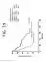 Fig. 09 - Genes Associated With Post Relapse Survival And Uses Thereof
