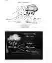 Fig. 08 - METHODS AND COMPOSITIONS FOR ALTERING HEALTH, WELLBEING, AND LIFESPAN
