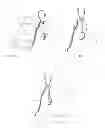 Fig. 04 - Decoratively applied article