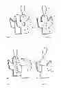 Fig. 06 - Decoratively applied article