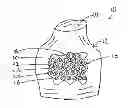 Fig. 01 - BATH BEAD CRAFT SYSTEM AND METHOD