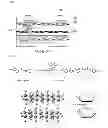 Fig. 02 - RESIN COMPOSITION FOR PACKAGE SUBSTRATE AND PACKAGE SUBSTRATE COMPRISING CORE LAYER AND PREPREG USING THE SAME