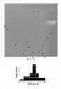 Fig. 06 - Controlled fabrication of nanopores in nanometric solid state materials
